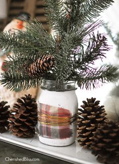 pine cones are sitting in a mason jar with plaid fabric on the bottom and one pine cone is next to it