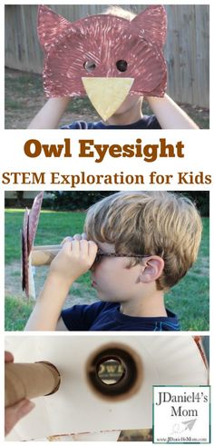 Baby Activities 1 Year, Preschool Stem, Owl Mask, Baby Activities, Steam Activities, Animal Science