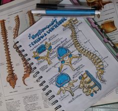 an open book with medical diagrams on top of it next to a pen and pencil