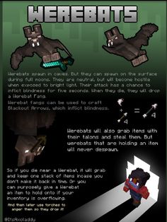 an info sheet describing how to use minecraft