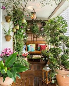 an outdoor area with potted plants and benches