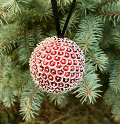 a red and white ornament hanging from a pine tree's branch,