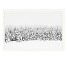 a black and white photo of snow covered pine trees in the winter with an overcast sky