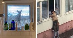 two pictures side by side one shows a man and the other shows a deer looking through a window