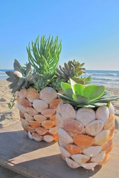 two planters made out of seashells on the beach