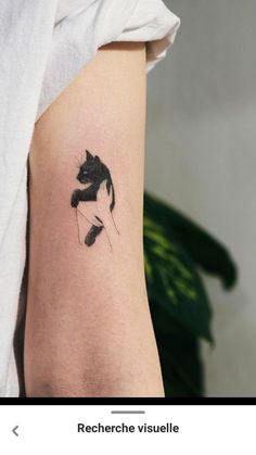 a black and white cat tattoo on the arm