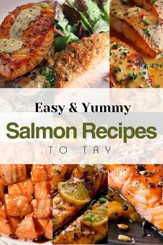 easy and yummy salmon recipes to try in the kitchen or on the table for dinner