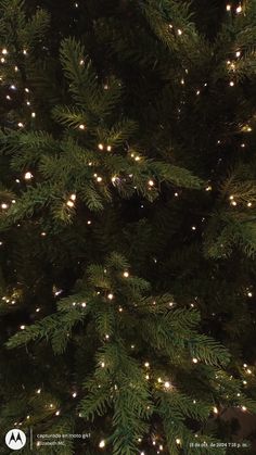 the top of a christmas tree with lights on it