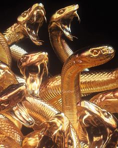 several gold colored snakes on display together