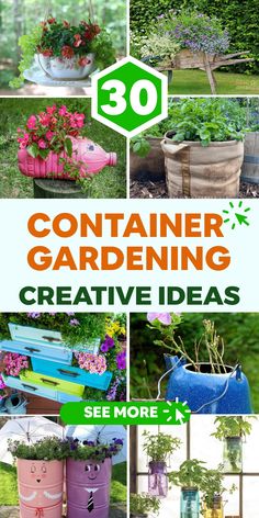 the cover of an article about container gardening with pictures of plants and flowers in them