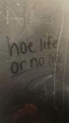 graffiti written on the side of a metal door that says, no life or no life