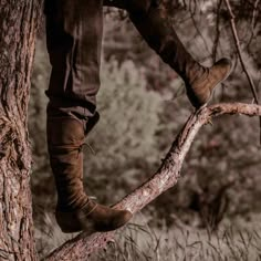 a person standing on top of a tree branch