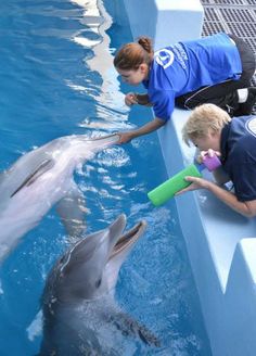 two young children feeding dolphins in an enclosure at the zoo, one is holding a bottle