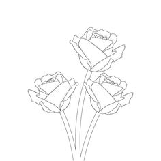 three roses are shown in the outline on a white background, and one is black and white