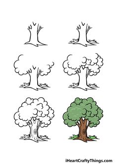 four trees with different shapes and sizes