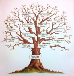 a family tree with many names on it