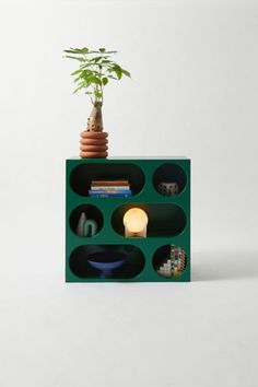 a plant is sitting on top of a shelf with other items in the shelves around it