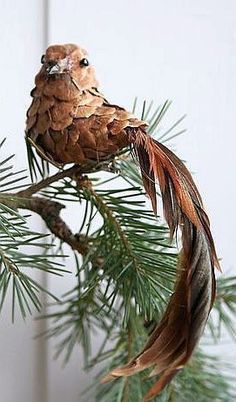 a bird perched on top of a pine tree branch