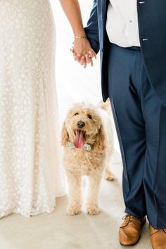 a bride and groom holding hands with their dog