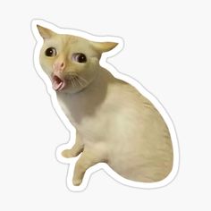 a white cat sticking its tongue out sticker