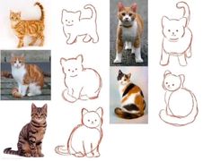 there are many different pictures of cats on this page