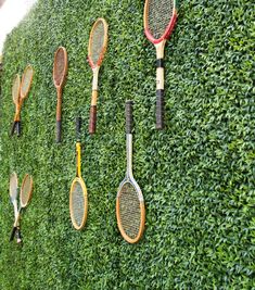 several tennis rackets are hanging on a wall covered with green grass and bushes in front of a hedge