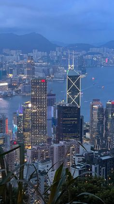 the city skyline is lit up at night, with skyscrapers in the foreground