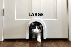 a black and white cat is hiding in a dog house with the word large written on it