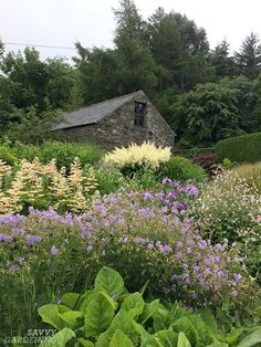 an old stone building surrounded by flowers and greenery in the foreground is a garden filled with purple and white flowers