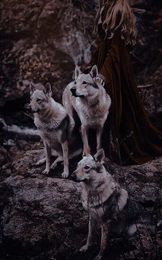 a woman standing on top of a rock next to three wolfs