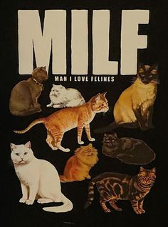 a book cover with cats all over the page and in different colors on black background