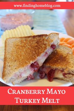 cranberry mayo turkey melt grilled cheese sandwich on a white plate with chips