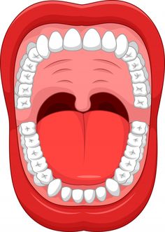 Partes da boca humana Vetor Premium | Premium Vector #Freepik #vector #educacao Dental Health Preschool Crafts, Dentist Cartoon, Dental Health Preschool, Dental Health Activities, Human Mouth, Homemade Mouthwash, Loose Tooth, Health Activities, Sikat Gigi