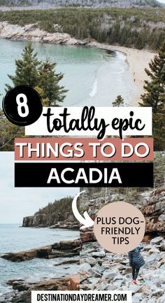 Green water with sandy beach and pine trees with words overtop '8 totally epic things to do Acadia' Under Canvas Acadia, Trip To Maine Summer, Bar Harbor Maine With Kids, Acadia National Park With Dogs, Hiking In Maine, Acadia National Park Hikes, Acadia National Park Summer, Boston To Acadia Road Trip, New England Road Trip With Kids