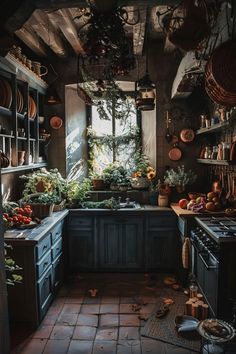 a kitchen with lots of pots and pans on the wall, plants hanging from the ceiling