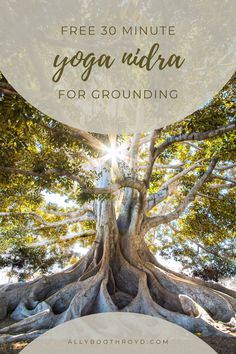 a large tree with the words free 30 minute yoga nidra for grounding on it