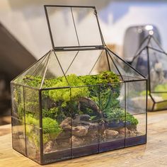 a glass box with plants inside on a wooden table next to a planter filled with rocks and moss