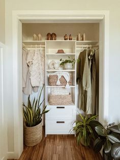 an open closet with clothes and plants in it