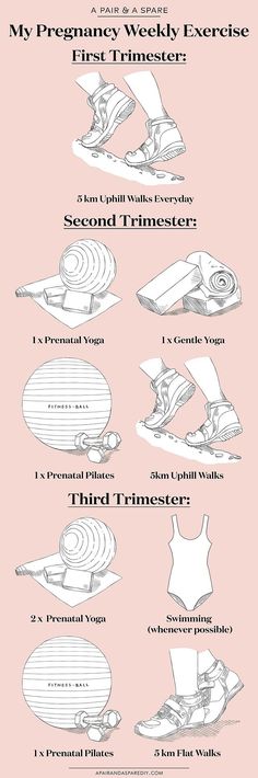 an info sheet showing different types of boats