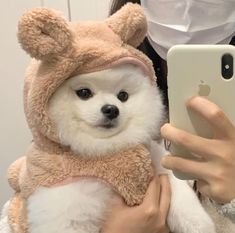 a person holding a small dog wearing a teddy bear costume while looking at a cell phone