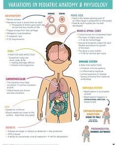 Nursing cheat sheets - Pediatrics. Save for later! Tag your friend who might need this below so they know you care about them :) Nursing Cheat Sheet, Nursing Cheat, Student Tips, Nursing Student Tips, Nursing Study, Nursing Student, Save For Later