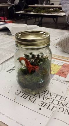 a jar filled with plants and dirt sitting on top of a table next to papers