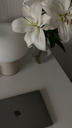 a vase with white flowers sitting next to an apple laptop