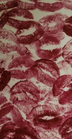 an image of red feathers on white paper