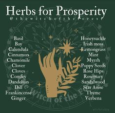 Herbs For Prosperity, Herb Meanings, Herbal Witch, Goddess Magick, Candle Magic Spells, Witchcraft Herbs, Magickal Herbs, Witch Herbs, Medicinal Herbs Garden