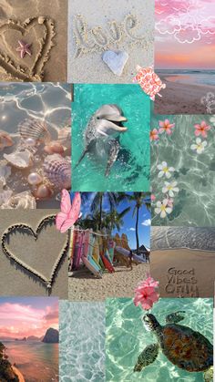 a collage of pictures with hearts, flowers and sea animals