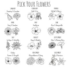 flowers are shown in black and white, with the words pick your flowers on it