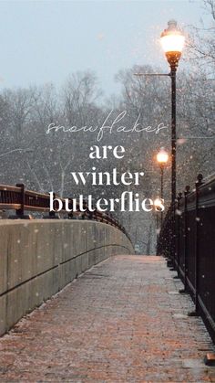 a brick walkway leading to a street light with the words are winter butterflies written on it