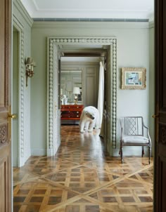 a dog is standing in the middle of a room with green walls and wood flooring