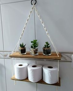 three rolls of toilet paper are hanging on a shelf with two succulents